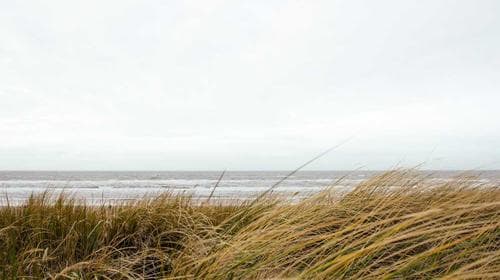 Stack Breadth Sandbox — 14+ Frameworks